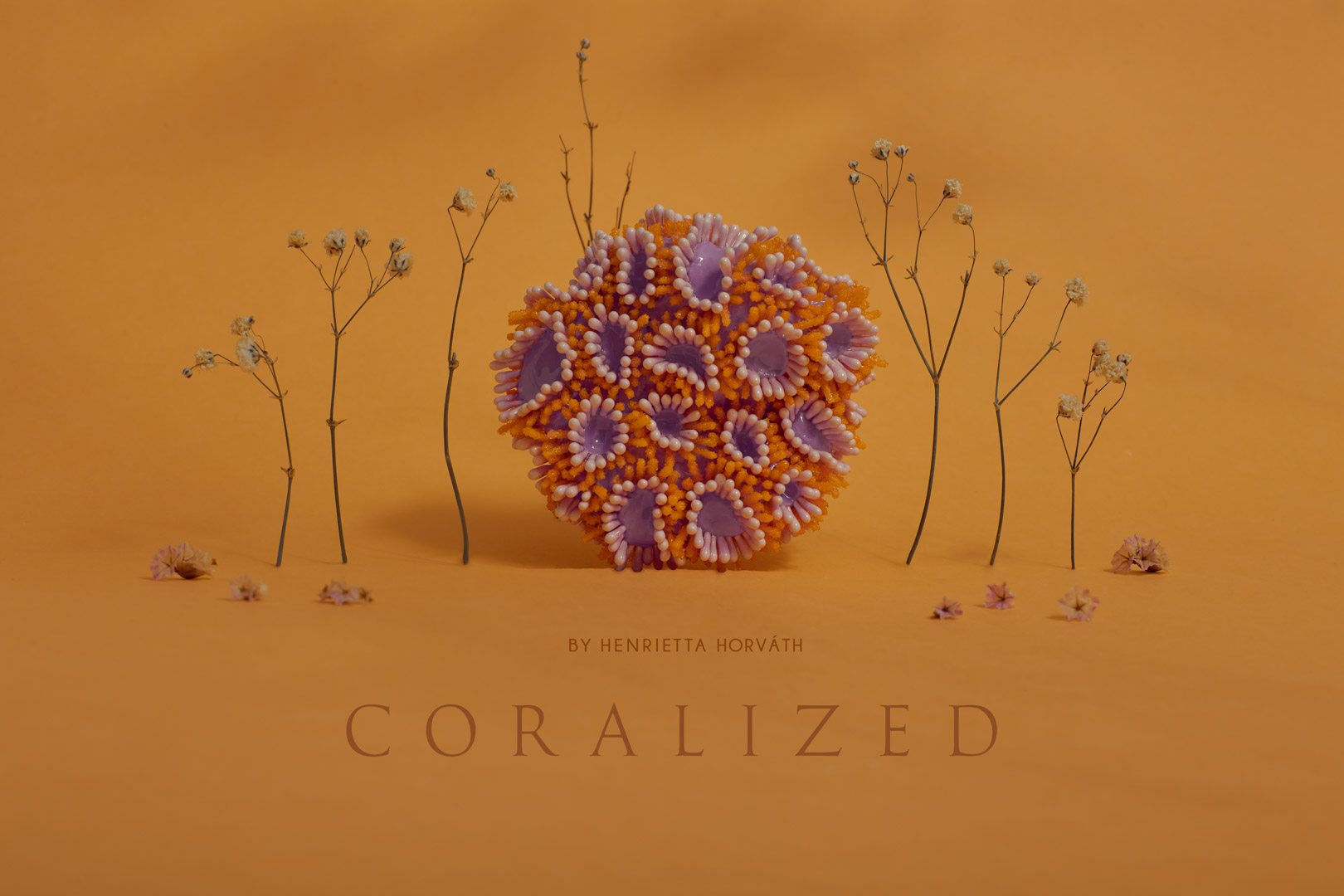 Coralized-1