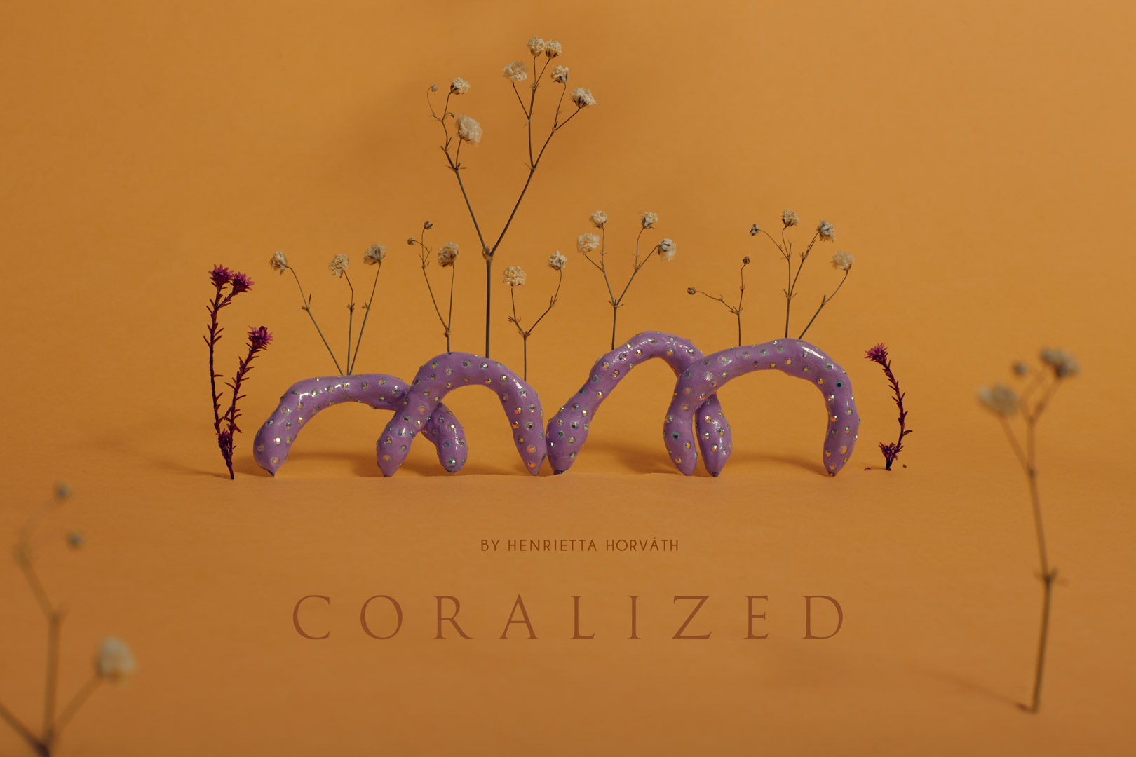 Coralized-2