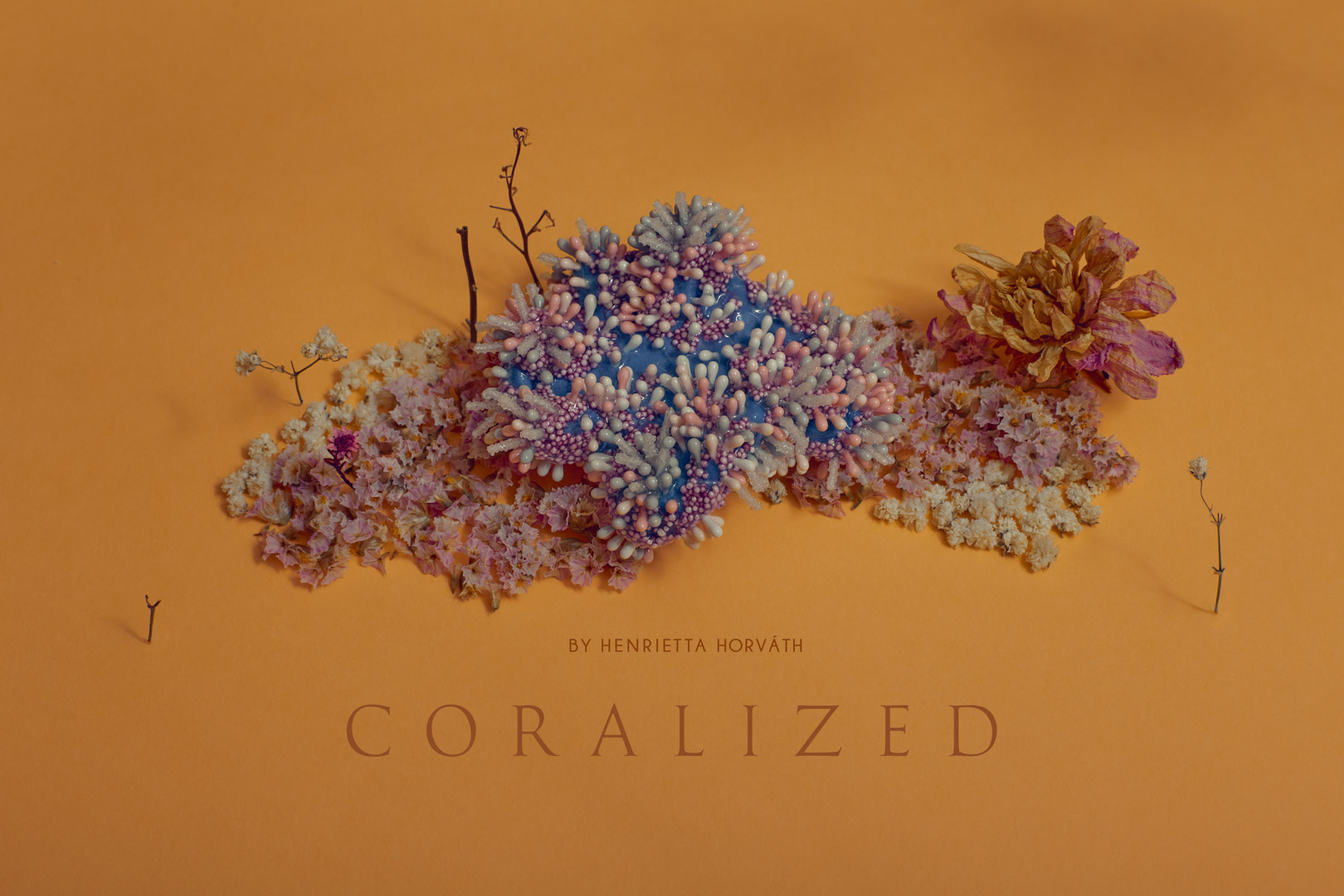 Coralized-5
