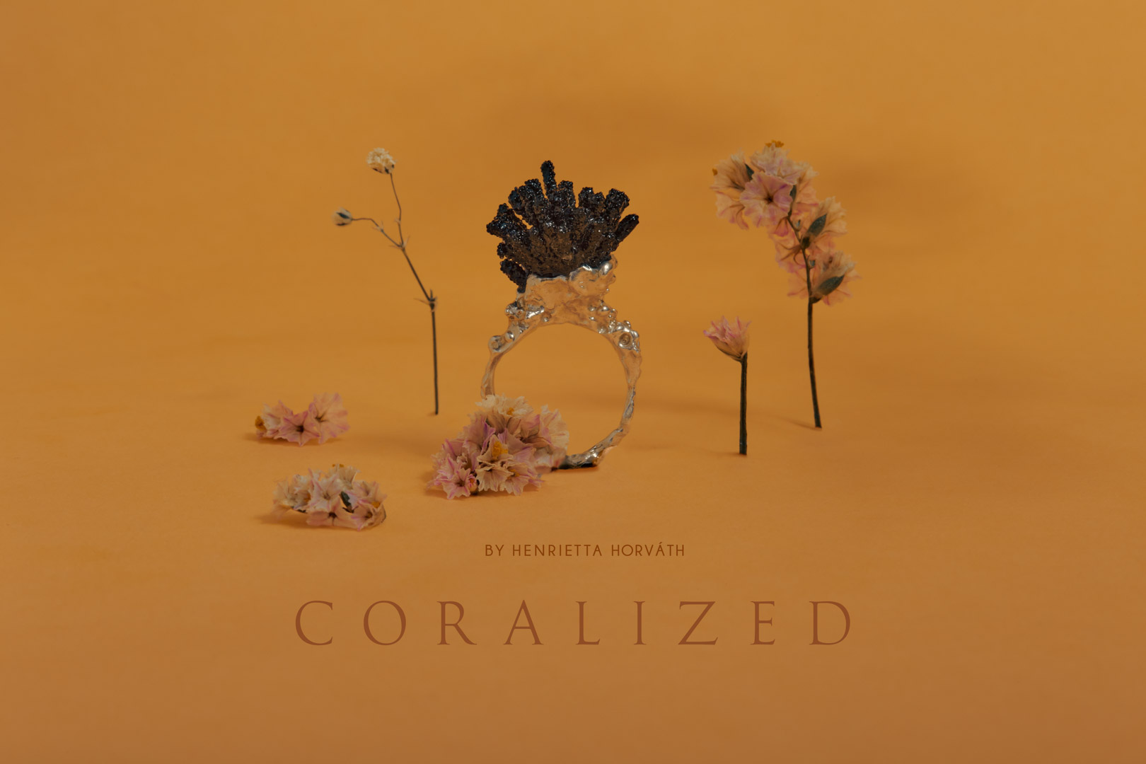 Coralized-6